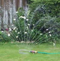 Sprinkler watering the garden