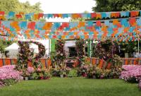 The RHS Hampton Court flower show