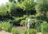 RHS Chelsea 2014 - A Garden for First Touch at St Georges